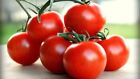 25 Deliciously Fresh | NON-GMO | Sweet Tasting Premium Campari Tomato Seeds-B 15
