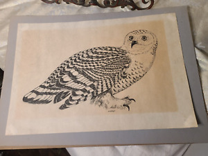 Vintage Pen & Ink drawing Snow Owl signed J W DeAngelo 1960ish.