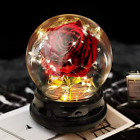 Beauty and Best Rose Gift for Women,Flower Rose Light up Rose in a Glass Dome