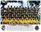 1974 WFL The Hawaiians Team Photo Picture Color 8 X 10 Photo Picture