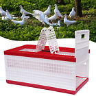 Racing Pigeon Carrier Box Large Plastic Bird Cage with 2 Side Doors +2 Top Doors