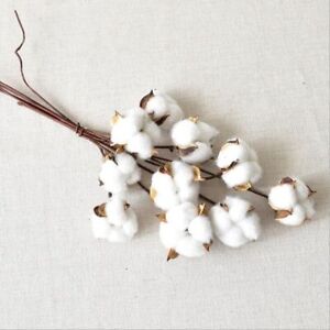 Artificial Dried Cotton Flower Plants Floral Branch For Wedding Party Decoration