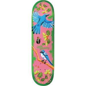 Birdhouse Lizzie Armanto Theodore Payne 8.25 Pro Skateboard Deck