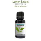 Rare Artisan Limon Leaves Essential Oil | Citrus x limon | 100% Pure and natural