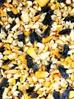 Black Oil Sunflower Whole & Cracked Corn Wild Song Bird Squirrel Seed Food Feed