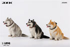 JXK 1/6 Fat Husky Model Animal Cute Dog Funny Collector Decoration Kids Gift Toy