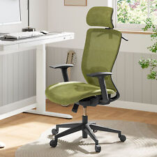FLEXISPOT Ergonomic Office Desk Chair Ergonomic Swivel Mesh Chair Lumbar Support