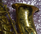 Selmer-Professional-Mark VI-Gold Lacquered-Alto Saxophone-Hiscox Case-Pad Saver