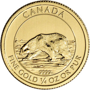 2013 Canada Gold Polar Bear $10 - 1/4 oz - .9999 Fine - BU
