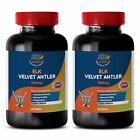 Extreme Muscle Growth Pills - Elk Velvet Complex 550mg - Saw Palmetto Powder 2B