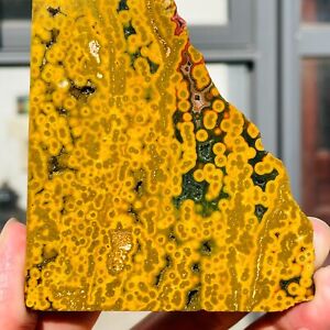 123g Magic Pattern Bumblebee Ocean Jasper Quartz Crystal Slice Specimen Healing