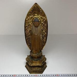 Amida Nyorai Buddha Wood Carving Statue 12 inch tall Antique Figurine Japanese