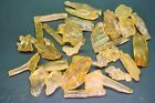 Copal Amber 2 Oz Lot Insect & Plant Inclusions Natural Fossil Resin Madagascar