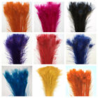 BLEACHED PEACOCK TAILS Feathers 30