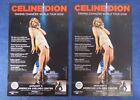 2x Celine Dion Taking Chances World Tour 2009 Dallas Promo Concert Poster Lot