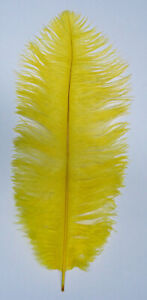 Yellow Ostrich Feather 16-20 inch Long per Each
