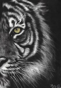 New Listingoriginal painting А4 43BS Art Realism Oil dry brush tiger Signed 2024