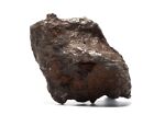 Sikhote-Alin Iron Meteorite Shrapnel Fragment: 19.5g