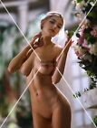Eva Elfie  8x10 Color Print Photograph - Fine Art Nude