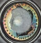 1885 Morgan Dollar PCGS MS64 Rainbow Toned Monster Color Semi PL Double Toning