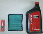 Honda EU3000 Oil Change Service Kit Filter Spark Plug Air Generator EU3000is