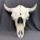 Vintage Buffalo Bison Head Skull Horns Old 20”x20”