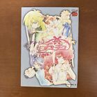 Princess Tutu Art Book Official Anime ~ Hina chapter ~ Guide Anime