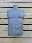 New ListingFusion Specialties Mannequin Male Torso Mens Upper Body Gray T6020790-1 No Arms