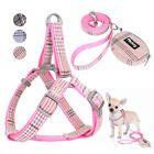 Step In Dog Harness+Leash+Bag for Walking Pet Puppy Cat Strap Vest Jack Russell