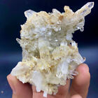 New Listing179G Rare TOP Natural Clear Green Phantom Ghost Garden Quartz Crystal specimen