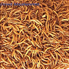 Wholesale Bulk Dried Mealworms for Wild Birds Food Blue Bird Hen Chickens Treats
