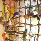 40*40cm Bird Climbing Net Parrot Birds Hanging Ladder Rope Swing Hemp Play Cage
