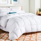 White Down Alternative Comforter Or Duvet Insert Full Size Box Stitched Blanket