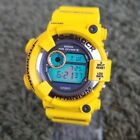 Casio G-Shock DW-8200AC-9T Frogman America'S Cup Nippon Challenge 2000 jp USED
