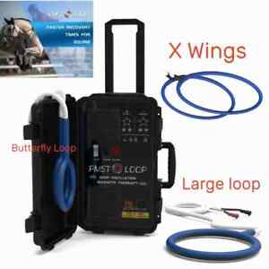 Pro PMST Loop Equine PEMF Treatment Magnetic Horse Injury Therapy Machine