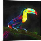 ARTCANVAS Keel Billed Toucan Latin American Belize Bird Canvas Art Print