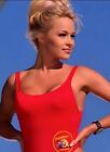 Pam Anderson Baywatch 8x10 Sexy Photo Actress Model Celebrity