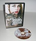 Female Animal - 1969 Erotic film + 2002 Master's Plaything (DVD, 2002) (Used)