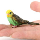 Miniature Artificial Green Parakeet Bird Figurine Decor or Bird Photography Prop