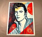 🎸 Obey Giant Joe Strummer Know Your Rights Shepard Fairey Signed Print #/550