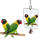 Parrot Mirror Convenient Lightweight Parrots Toys Bell Mirror Acrylic