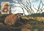 Badger Fauna World Wildlife Canada USA Art Mint Wisconsin Maxi Card FDC 1987