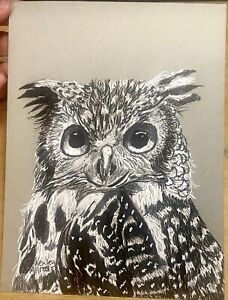 Original Art Owl Ink Drawing Artwork on Gray Toned Paper Size 6”x8”