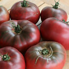 Cherokee Purple Tomato Seeds | Non-GMO | Free Shipping | Seed Store | 1022