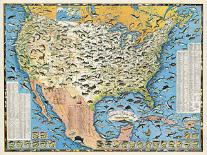 Pictorial Sportsmen's Fishing Map United States Fishermen Gifts Wall Poster