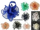 Flower Hair Clips Feather Small Mini Top Hat Wedding Fascinator Royal Ascot Race