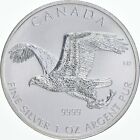 2014 Canada 5 Silver Dollars Eagle 1 oz Silver Canadian