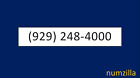 (929) 248-4000 - Area Code 929 Vanity Phone Number NEW! 929 212 718 347