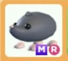 💗SALE! CHEAP PETS!! ADOPT MR SAND MOLE! SEE DESC! FAST, TRUSTED DELIVERY!💗
