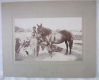Large Cabinet Card Photo-Horse 